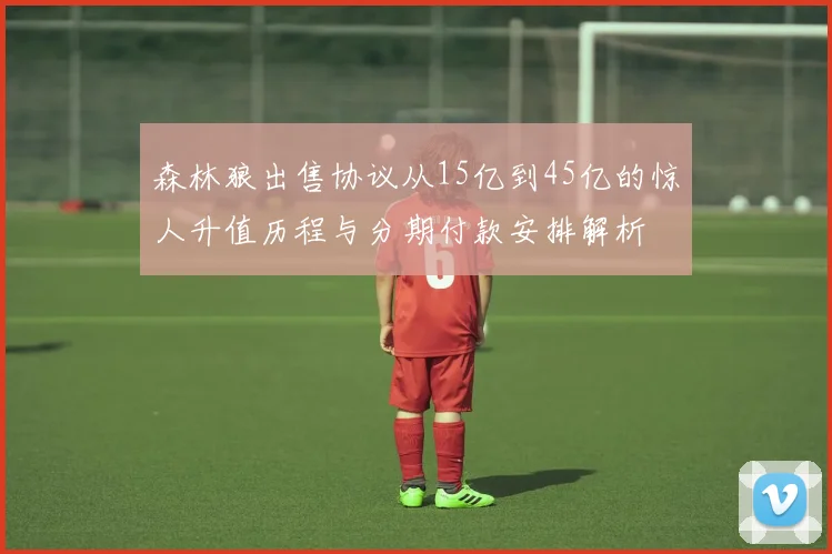 森林狼出售协议从15亿到45亿的惊人升值历程与分期付款安排解析